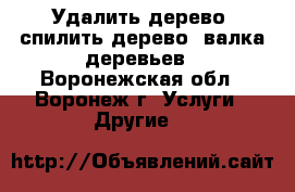 Удалить дерево, спилить дерево, валка деревьев - Воронежская обл., Воронеж г. Услуги » Другие   